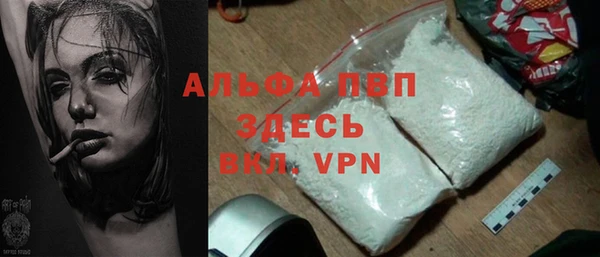 индика Переславль-Залесский