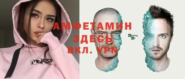 хмурый Пересвет
