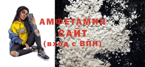 хмурый Пересвет