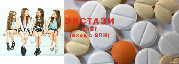 хмурый Пересвет