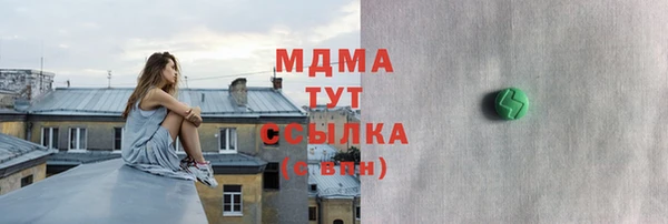хмурый Пересвет