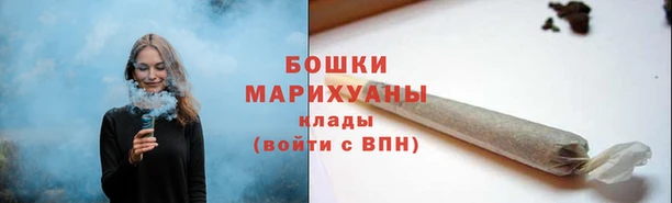 хмурый Пересвет