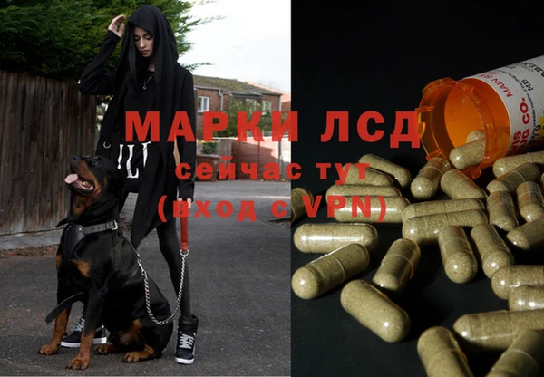 2c-b Беломорск