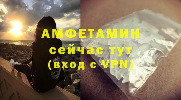 хмурый Пересвет