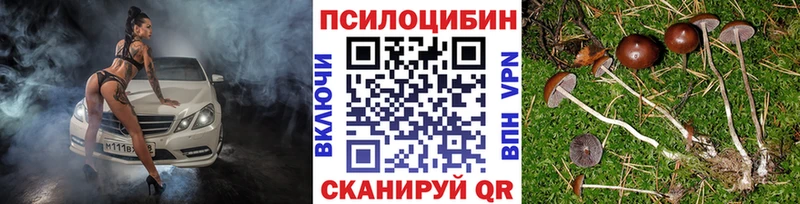 Псилоцибиновые грибы Psilocybine cubensis Тотьма